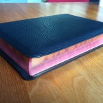 ESV Study Bible