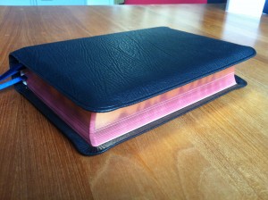 ESV Study Bible