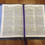 53 DG Interior with Liberty purple ribbon