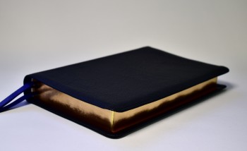 Bibles Direct - Allan ESV New Classic Readers Edition Black Highland ...