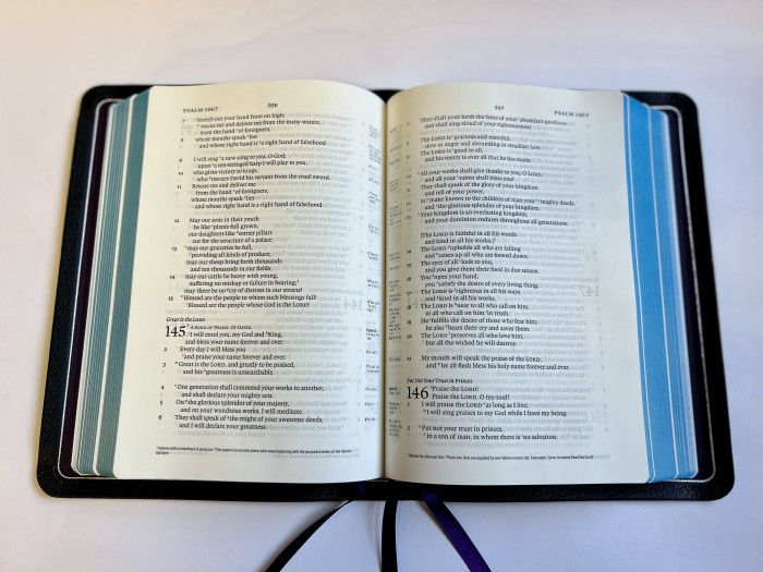 Bibles Direct - Allan ESV Single Column Reference Edition Z 2024 Black ...