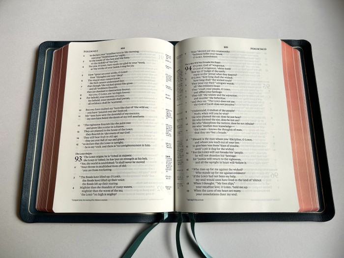 Bibles Direct - Allan ESV Single Column Reference Edition Z 2024 Petrol ...